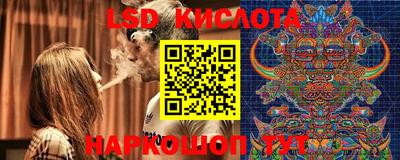 прущие крисы Аргун