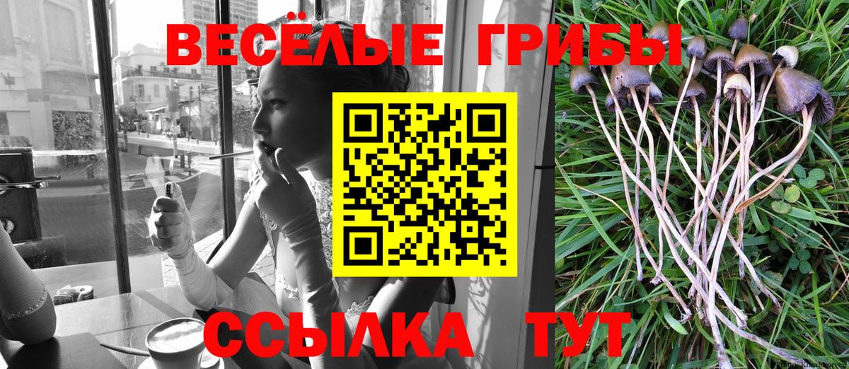 Югорск  Галлюциногенные грибы Psilocybine cubensis  Вход с VPN 